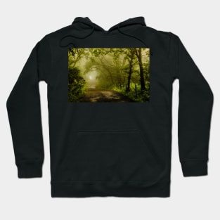 Misty Woodland Lane Hoodie